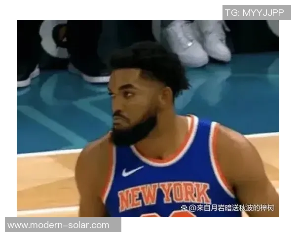 黄蜂与尼克斯对决数据分析揭示比赛关键因素与球员表现